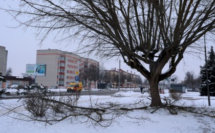 По улице Дзержинского обрезали ветви деревьев - комментарии специалиста Кобринского ЖКХ