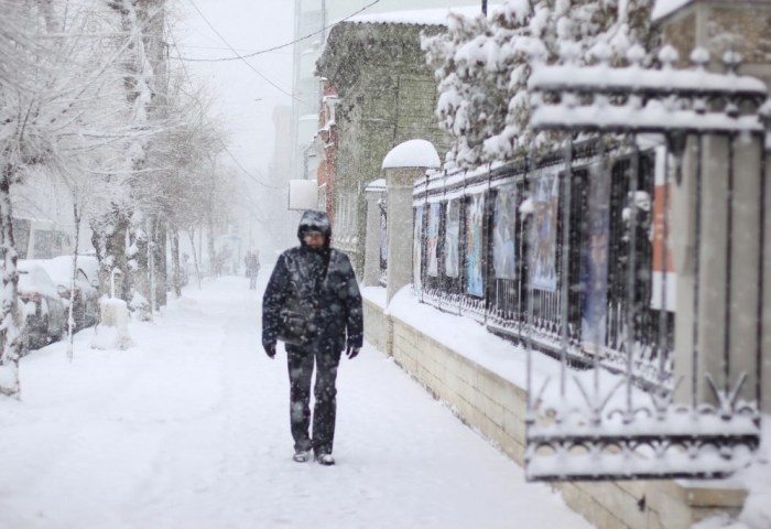 В Польше с начала зимы из-за морозов погибли более 50 человек