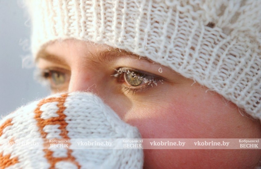 Всё о защите от обморожений и зимнем рационе - рекомендации специалистов Кобринского ЗЦГиЭ