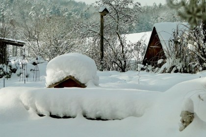 Не просто сугробы: как обычный снег может спасти урожай, рассаду и запасы на даче