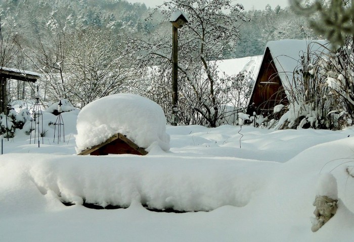 Не просто сугробы: как обычный снег может спасти урожай, рассаду и запасы на даче