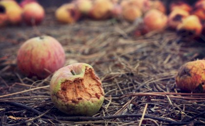 Европейцам предлагают ядовитые яблоки