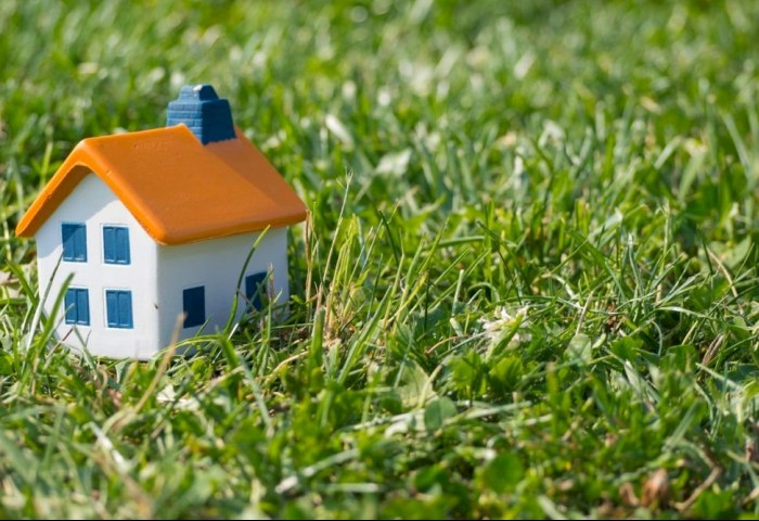 Дом, дача или огород: какие земельные участки белорусы могут оформить в частную собственность