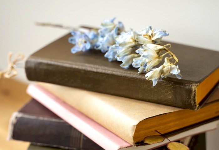 Живое чтение - магия встречи в Кобринской детской деревне с писательницей Наталией Андросюк