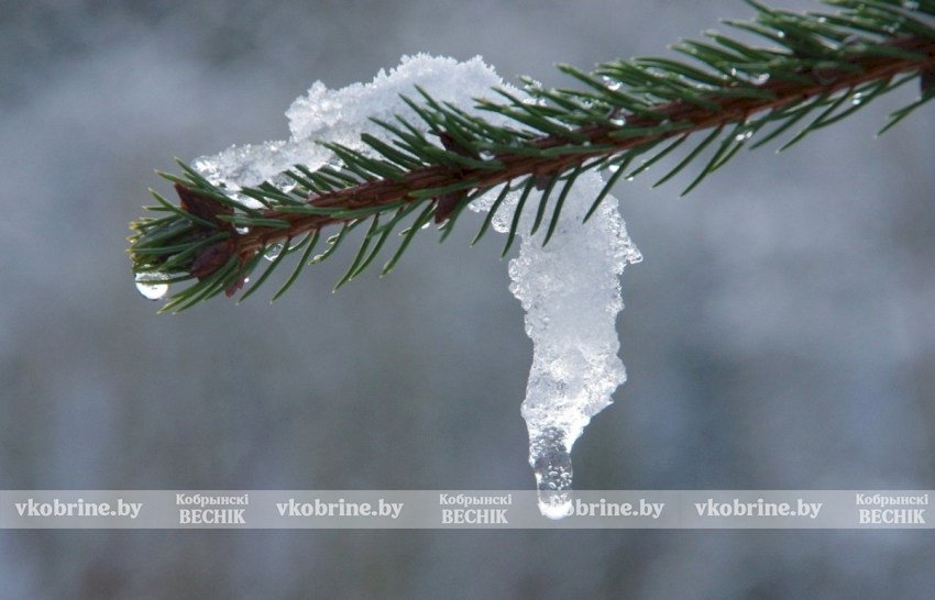 Оттепель всё ближе? Последняя неделя зимы принесёт плюс 12 и дожди вместо снега