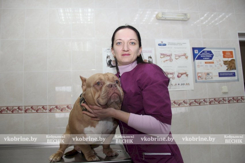 На страже «четвероногого» здоровья: о буднях Кобринской ветстанции рассказала ее заведующая Ольга Яковчук