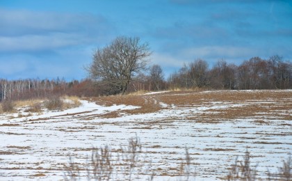 Бабьи взбрыксы и сбитень: как белорусы веками отмечали 27 февраля и готовили поля к весне