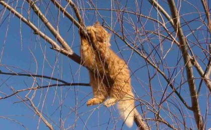 Рябов пообещал потепление до плюс 13 и рассказал, чего ждать в первую неделю весны и 8 Марта