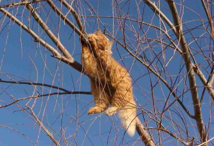 Рябов пообещал потепление до плюс 13 и рассказал, чего ждать в первую неделю весны и 8 Марта