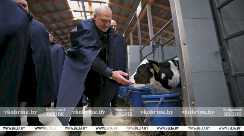Союзный вектор в Кремле, инспекция с вилами в руках и награды защитникам Отечества. Итоги недели Президента