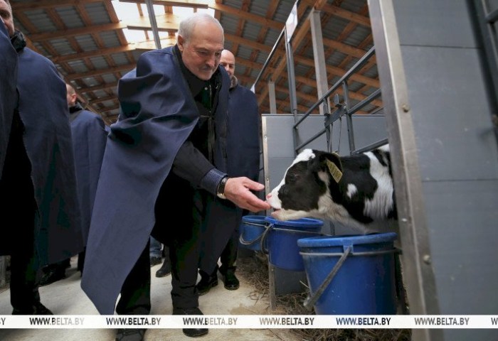 Союзный вектор в Кремле, инспекция с вилами в руках и награды защитникам Отечества. Итоги недели Президента