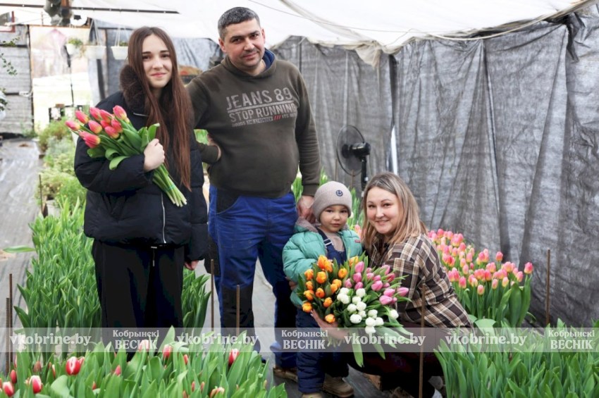 Вместо роз - море тюльпанов: семейный подряд из Магдалина готовит Кобрин к 8 Марта (ВИДЕО)