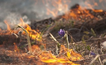 Чистый участок или пепелище - выбор за вами! Кобринский РОЧС напоминает правила безопасности при сжигании сухой растительности