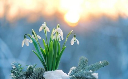 Антициклон «Яннис» принес в Беларусь почти майское тепло