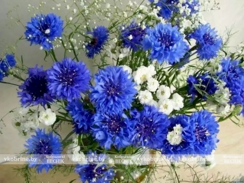 «Магдаліна» ў гасцях у Кіселявецкай сярэдняй школе: шчырыя вячоркі, дзе ажывае гісторыя