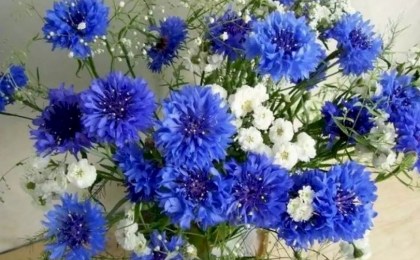 «Магдаліна» ў гасцях у Кіселявецкай сярэдняй школе: шчырыя вячоркі, дзе ажывае гісторыя