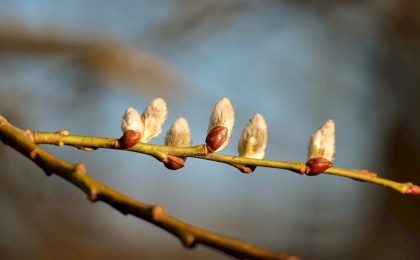 Кратковременные дожди и туман: что ждать от погоды с 16 по 22 марта