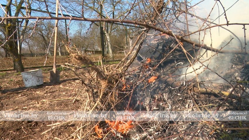 Операция «Зеленый щит»: МЧС усиливает контроль в восьми районах области