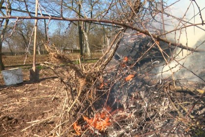 Операция «Зеленый щит»: МЧС усиливает контроль в восьми районах области