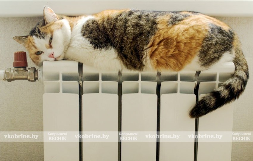 Весенний режим - как регулируется подача тепла при плюсовой температуре, рассказал специалист Кобринского ЖКХ