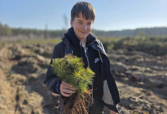 Лес, который посадили мы: школьный эко-десант в Запрудском лесничестве