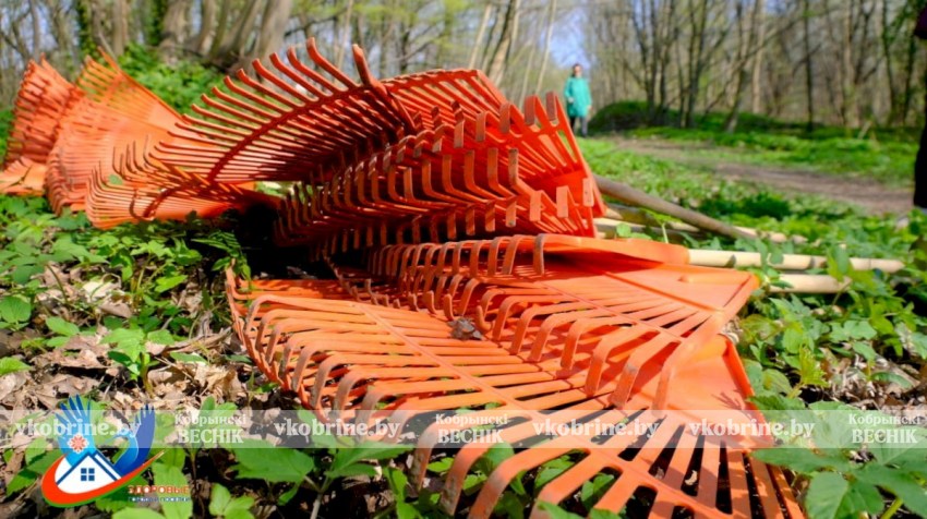 Встречаем весну чистотой: время навести порядок у своего гаража, напоминают специалисты Кобринского ЗЦГиЭ
