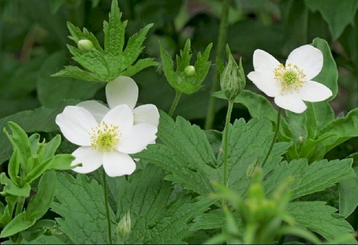 Смотреть, но не трогать: как не «попасть» на крупный штраф во время весенней прогулки