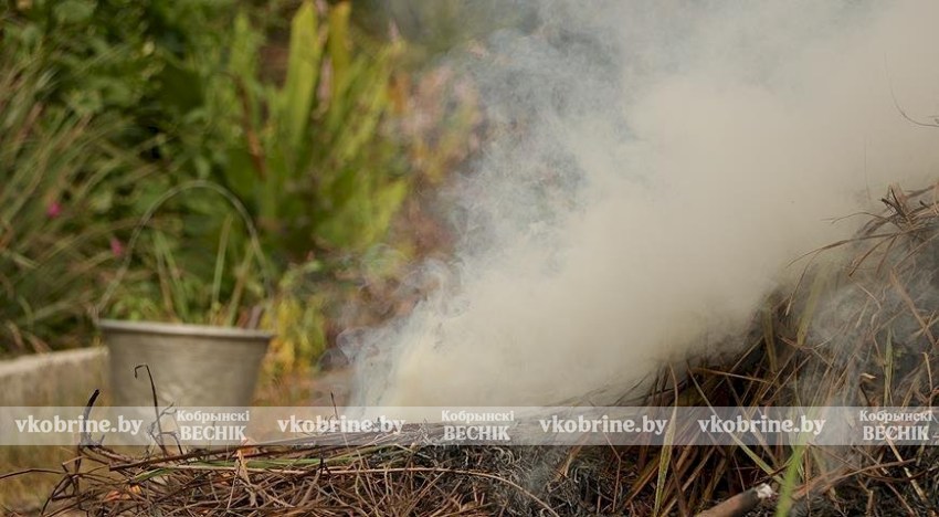 Как спасти растения от апрельских заморозков