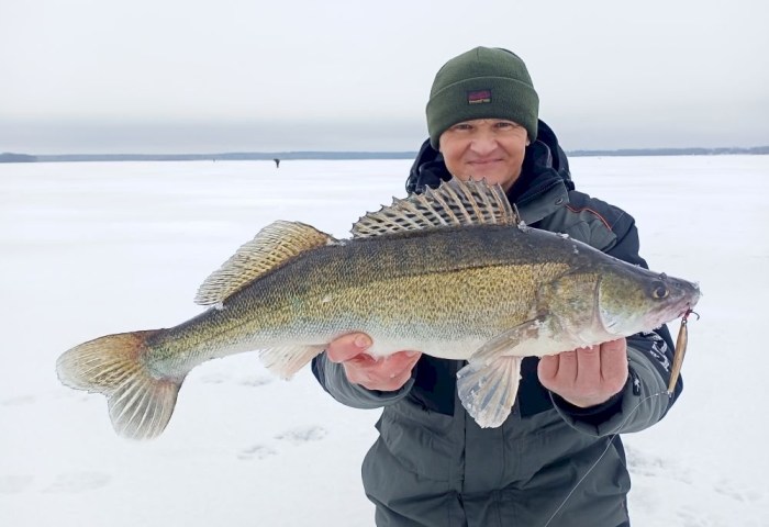 С 15 апреля штраф до 30 базовых за вылов этой рыбы 