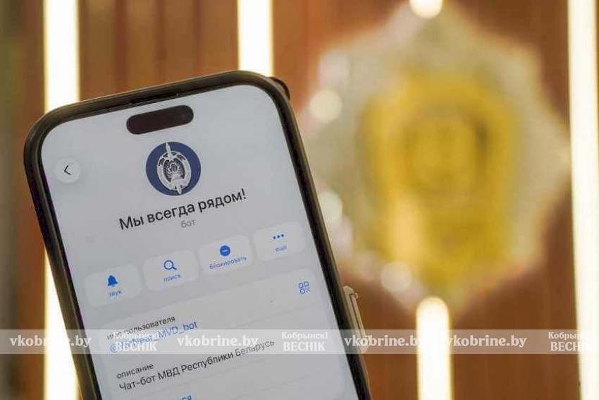 Как сообщить о буллинге или насилии: чат‑бот МВД «Мы всегда рядом» в Телеграм