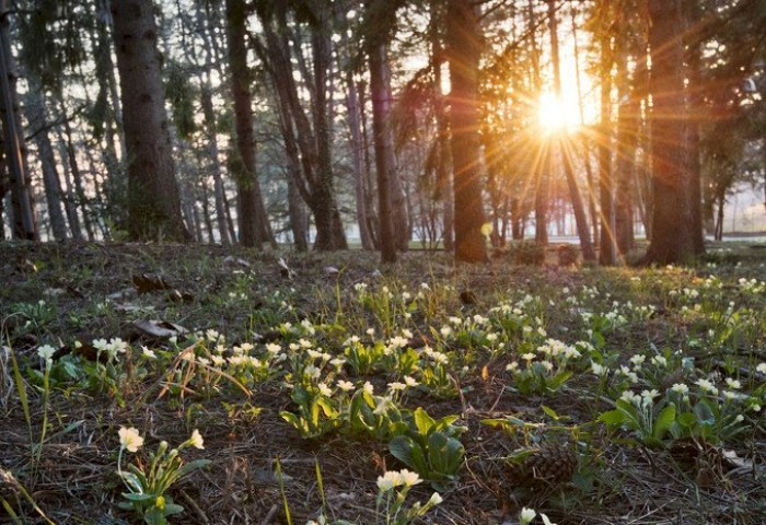 Горячий старт весны - март 2026 года признан рекордно теплым в Беларуси