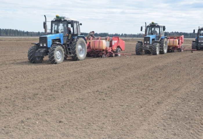 В Брестской области начали посадку картофеля