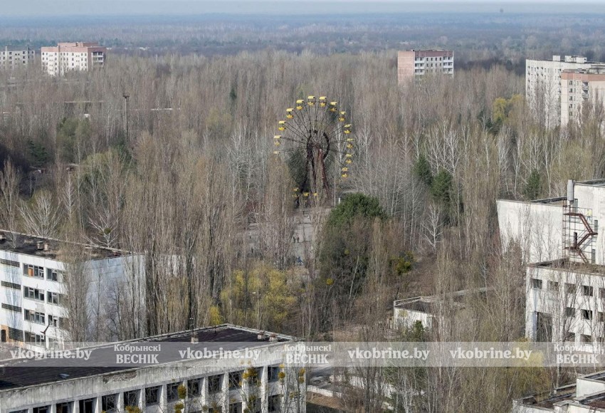 Какие льготы предусмотрены для ликвидаторов ЧАЭС в 2026 году