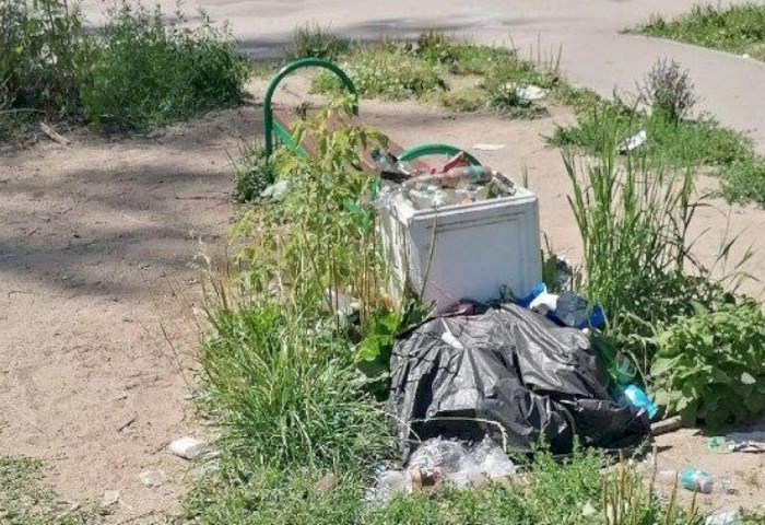 Сизифов труд или общая цель? Давайте обсудим, когда НЕ мусорить станет нормой