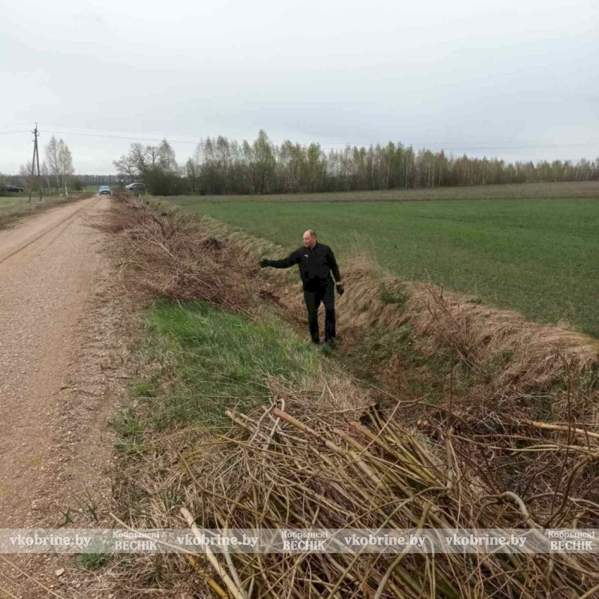 Марафон благоустройства в Зелесском сельсовете: от наведения порядка у мемориалов до ликвидации стихийных свалок