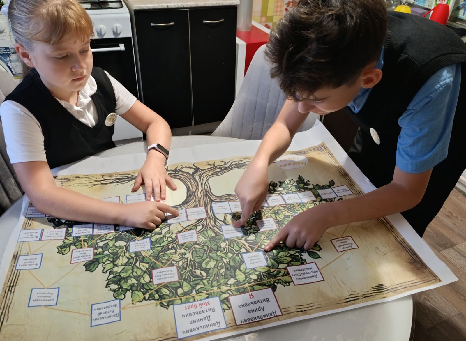 viber image 2025 11 05 14 27 10 551