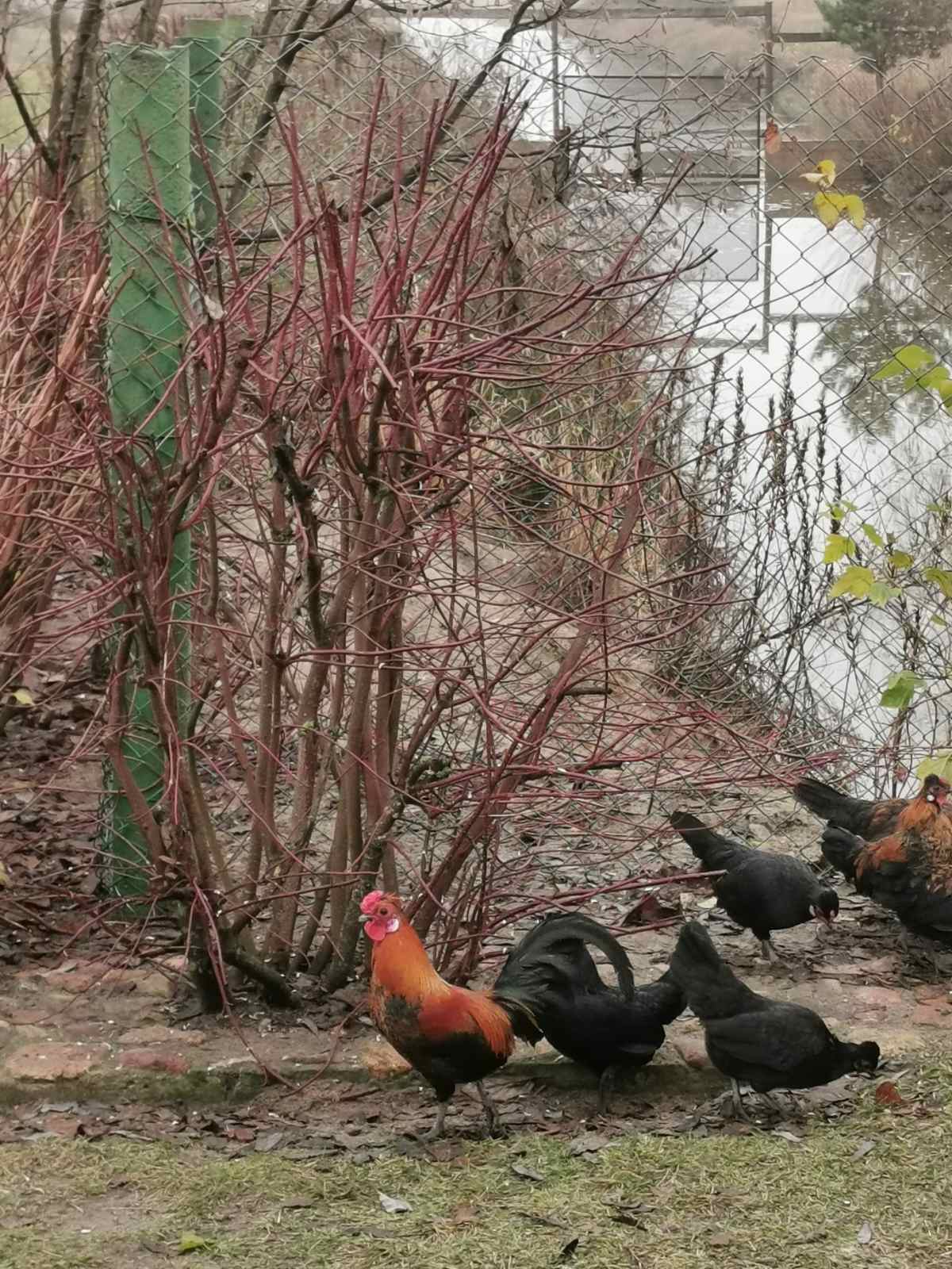 viber image 2025 12 02 10 06 15 329