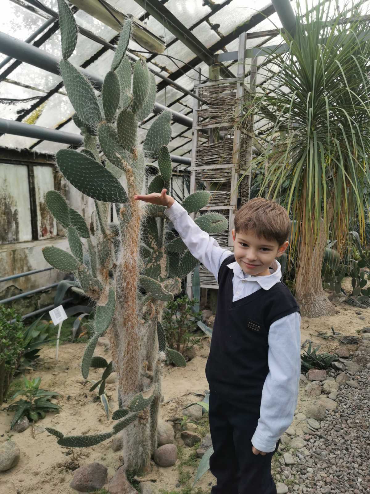 viber image 2026 01 05 08 48 50 423