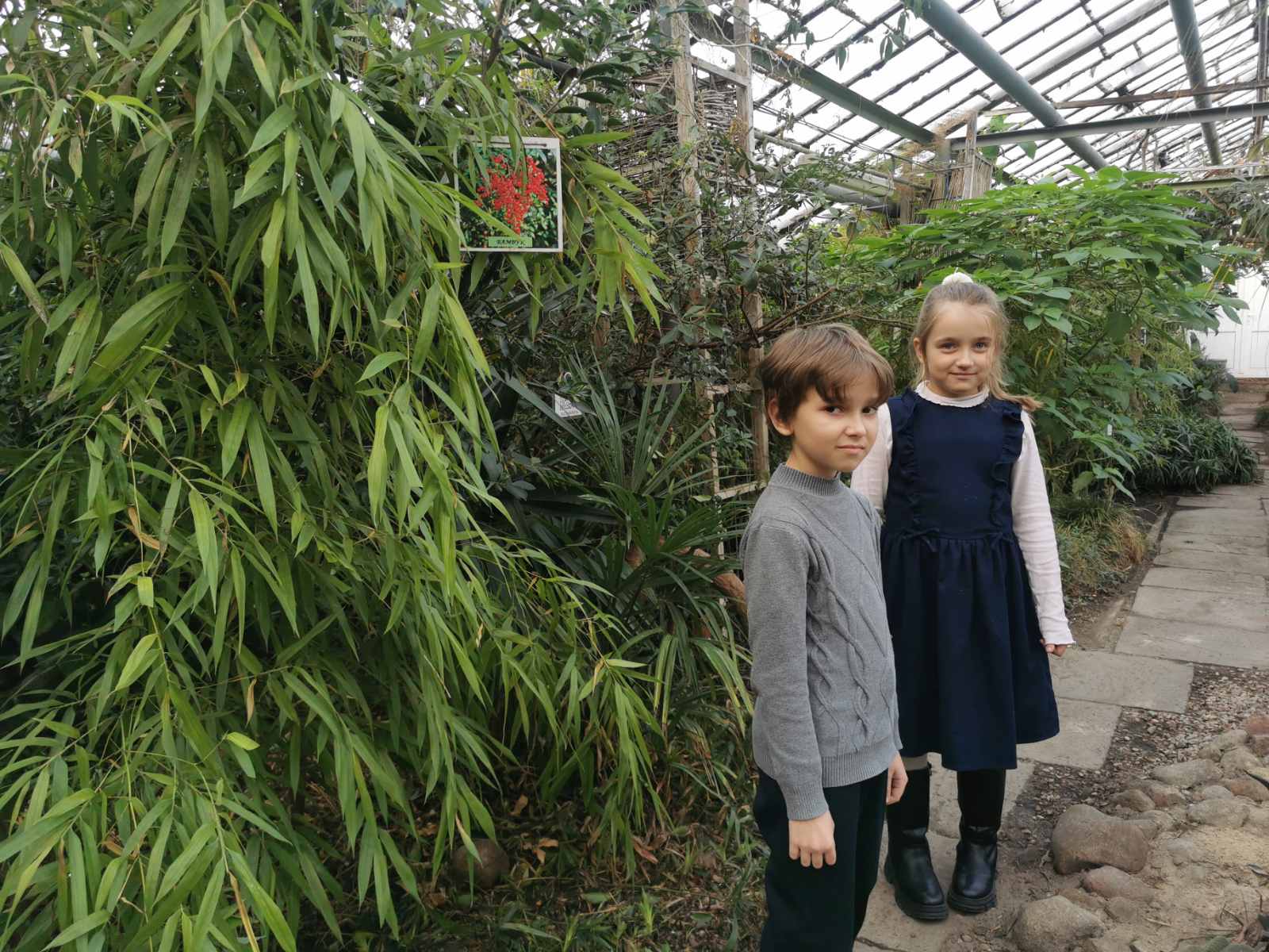 viber image 2026 01 05 08 48 50 619