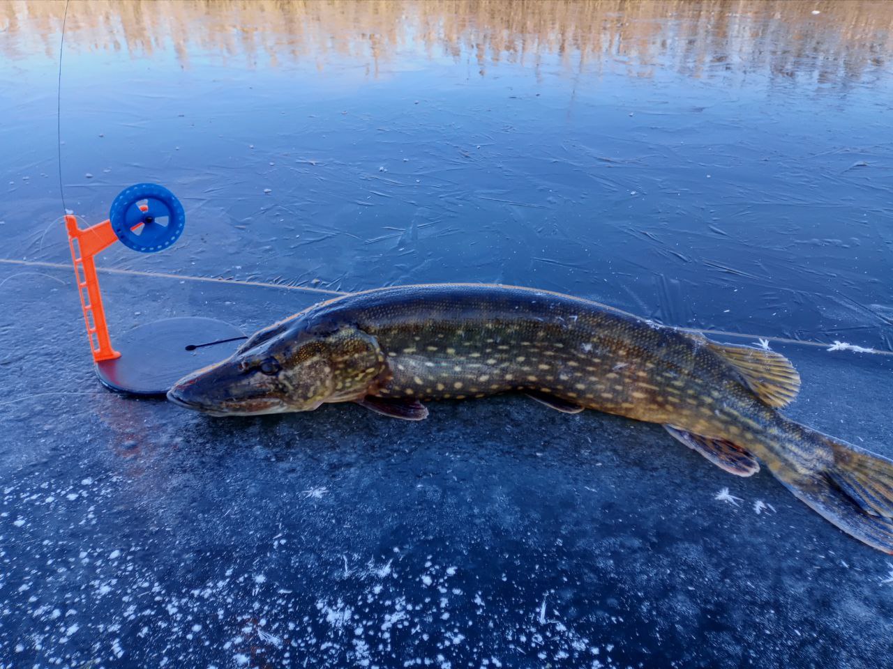 viber image 2026 01 20 11 34 04 853