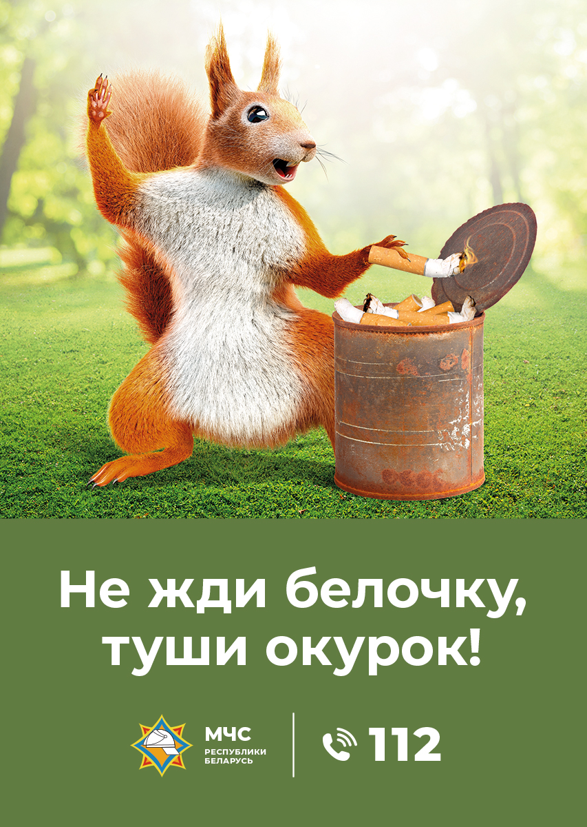 Листовка Не жди белочку 1