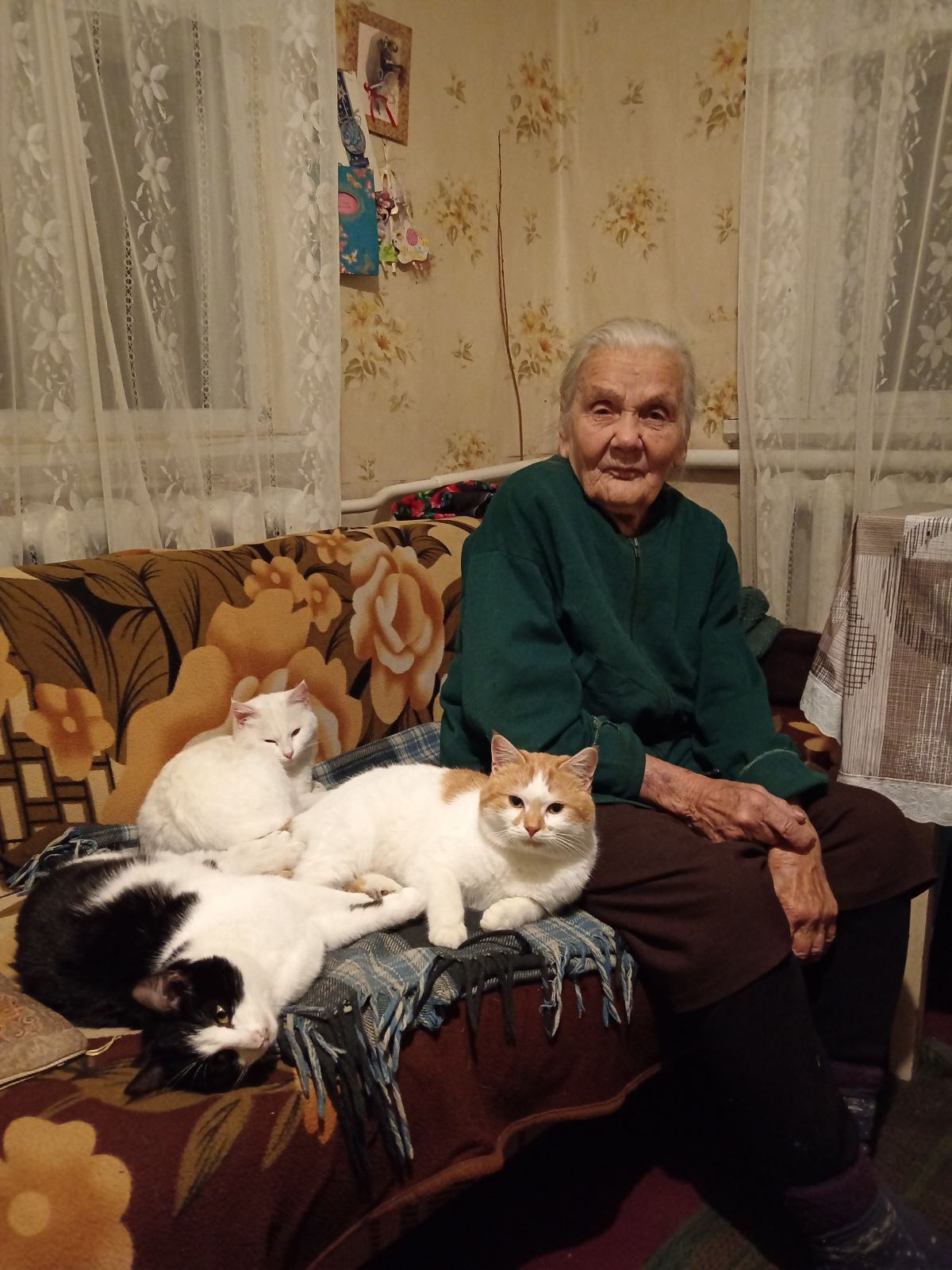 viber image 2026 03 31 12 11 52 036