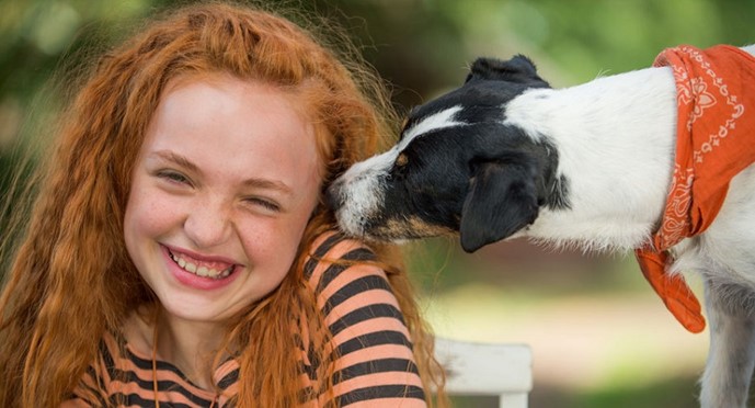 РЕК МАЛЕНЬКИЕ