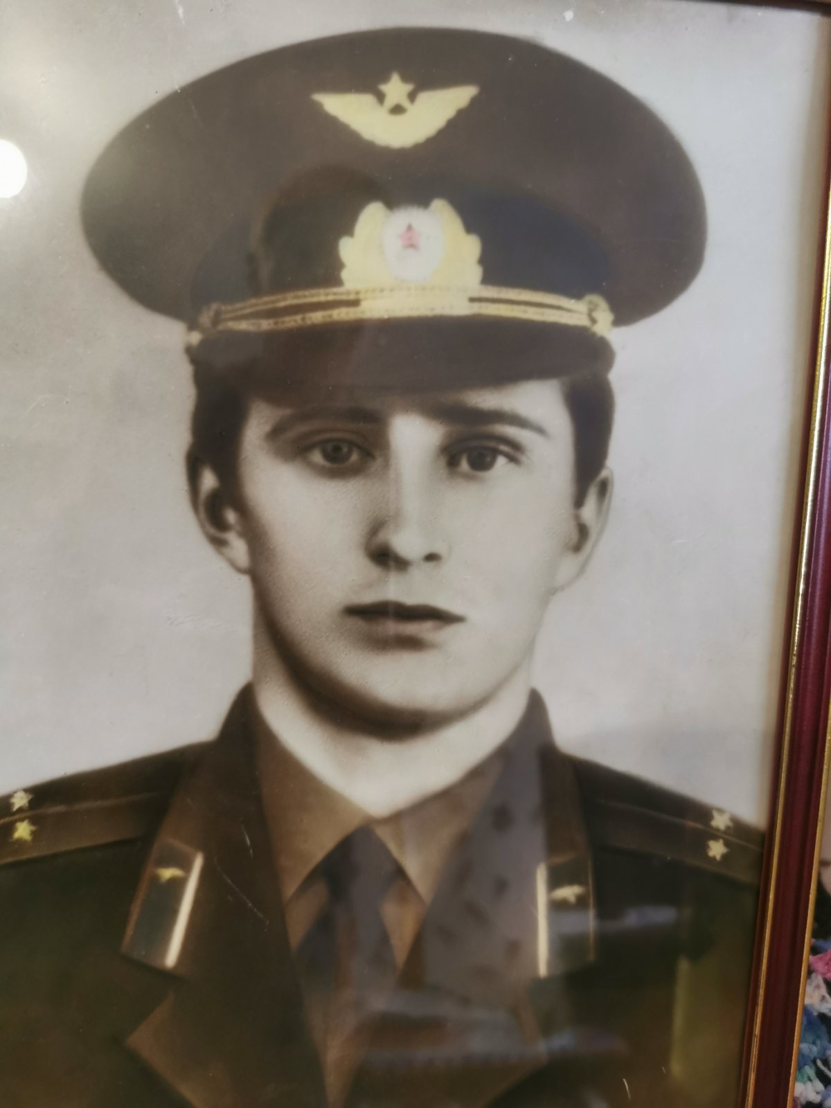 изображение viber 2026 02 10 09 42 16 512