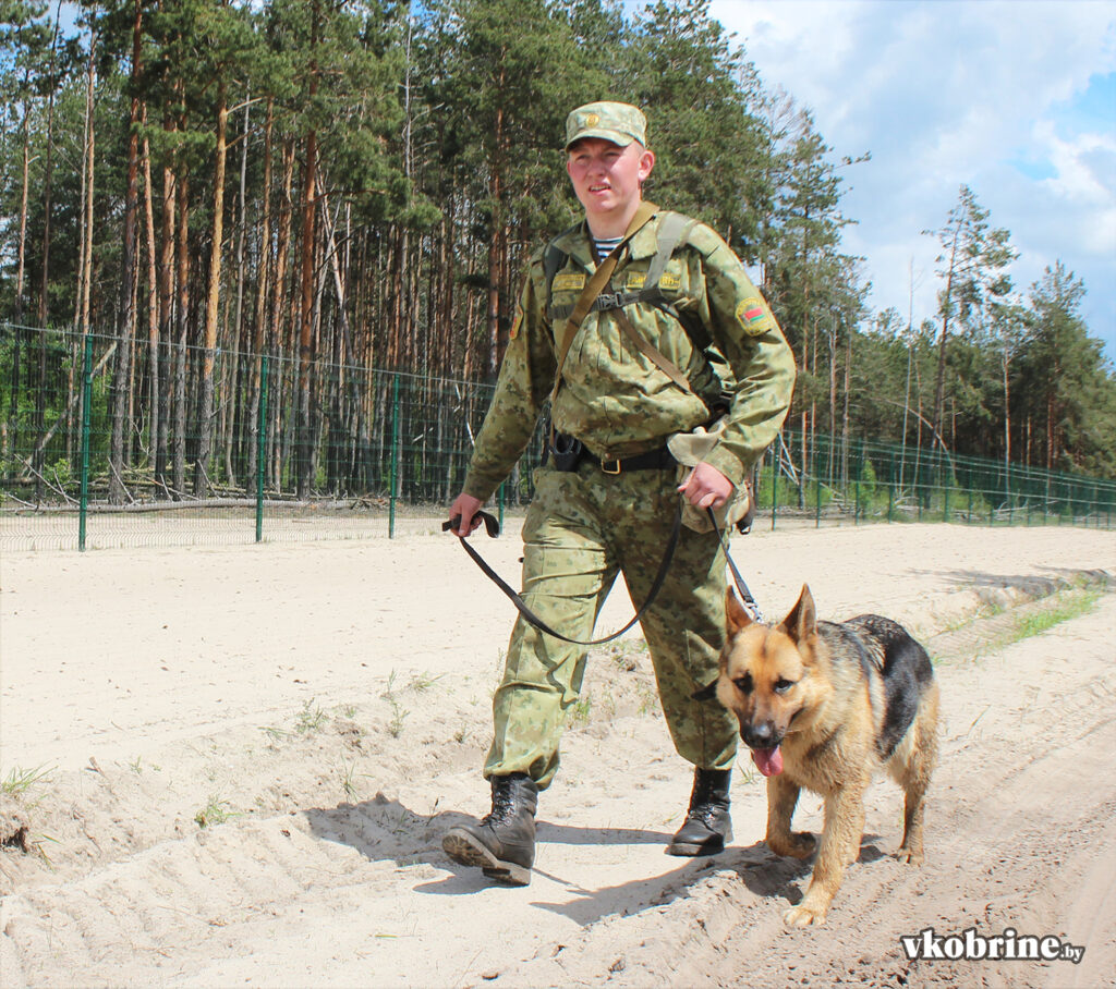 Как несут службу в нарядах по охране границы военнослужащие Пинского  погранотряда в Кобринском районе - Кобринский вестник